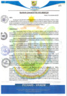 Vista preliminar de documento rgm562