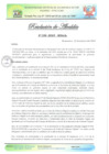 Vista preliminar de documento RESOLUCION 126