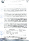 Vista preliminar de documento rgm 945