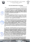 Vista preliminar de documento rgm 949