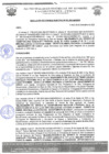 Vista preliminar de documento rgm 956