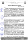 Vista preliminar de documento rgm 957
