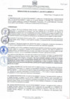 Vista preliminar de documento RESOLUCION N° 124
