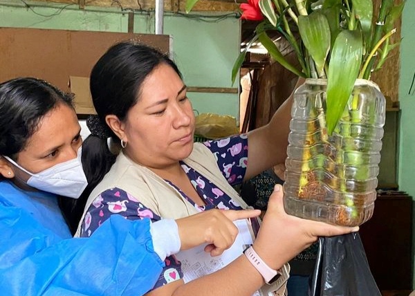 Se fortalecen acciones para combatir el dengue en Lima sur