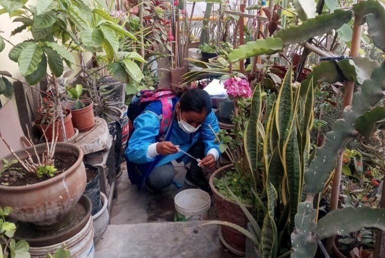 Se fortalecen acciones para combatir el dengue en Lima sur