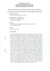 Vista preliminar de documento Informe Tecnico N 003-2011