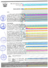 Vista preliminar de documento rgm 950