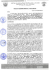 Vista preliminar de documento rgm 969