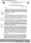 Vista preliminar de documento rgm 970