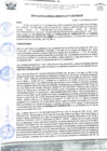 Vista preliminar de documento rgm 974