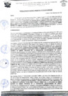 Vista preliminar de documento rgm 978
