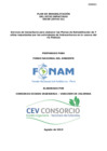 Vista preliminar de documento Plan de Rehabilitación SO100