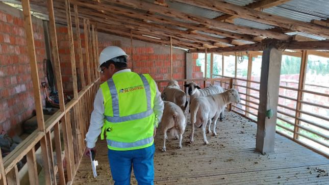 La Contraloría General alertó a la Municipalidad Provincial de Cotabambas que no se cuenta con medidas de seguridad ni la adecuada gestión de almacén del proyecto de la cadena productiva de ovinos en Tambobamba como resultado del control social a la ejecución de la obra realizado en el marco del programa Monitores Ciudadanos de Control (MCC).