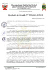 Vista preliminar de documento resolución 239