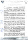 Vista preliminar de documento rgm 983
