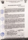 Vista preliminar de documento rgm 990