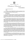 Vista preliminar de documento RD 242