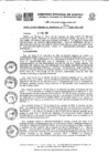 Vista preliminar de documento RGR0394-2023-GRI