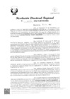 Vista preliminar de documento RDR Nº 4155-2023-GRSM-DRE