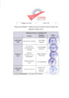 Vista preliminar de documento MANUAL DE CONTROL PATRIMONIAL