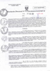 Vista preliminar de documento RD N°0134