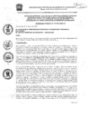 Vista preliminar de documento ordenanza-municipal-19-2023-mpm-ch