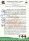 Vista preliminar de documento RESOLUCION DE ALCALDIA N°  210-2023-MDI-A-SG