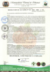 Vista preliminar de documento RESOLUCION DE ALCALDIA N°  211-2023-MDI-A-SG