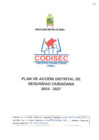 Vista preliminar de documento plan codisec