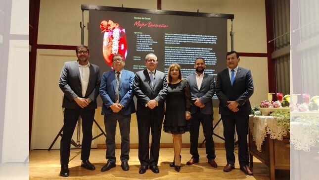 Cancillería Tacna impulsa la mixología regional a través de cocteles de autor