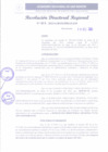Vista preliminar de documento RDR 411-2023