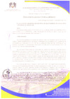 Vista preliminar de documento RESOLUCIÓN DE ALCALDIA N° 272-2023-ALC-MDSDO-PH