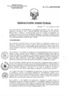 Vista preliminar de documento RD 212-2023-SA-DG-INR