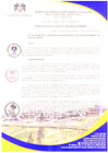 Vista preliminar de documento RESOLUCIÓN DE ALCALDIA N° 263-2023-ALC-MDSDO-PH