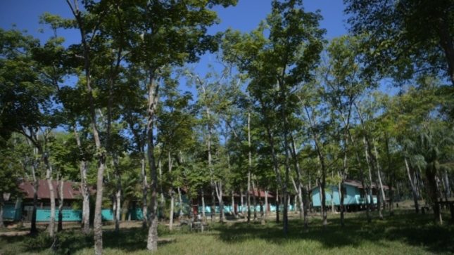 Predio de la INIA