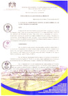 Vista preliminar de documento RESOLUCIÓN DE ALCALDIA N° 298-2023-ALC-MDSDO-PH