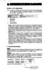 Vista preliminar de documento Auto DIrectoral N°530-2011-MEM-AAE