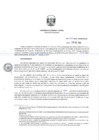 Vista preliminar de documento Resolución Directoral N°252-2017-MEM-DGAAE