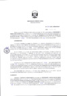 Vista preliminar de documento ResDirec-0554-2017/MEM-DGAAE