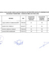 Vista preliminar de documento RESULTADOS FINALES