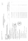Vista preliminar de documento Proceso Presupuestario del Año 2023