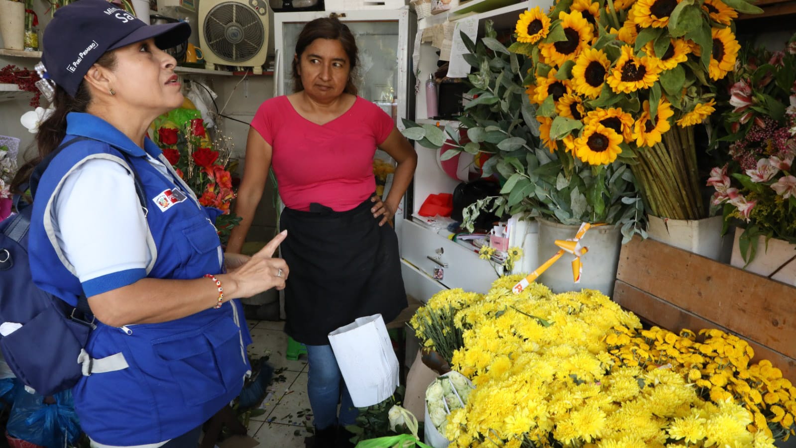 Una correcta conservación de flores amarillas evitará la proliferación del zancudo que transmite el dengue