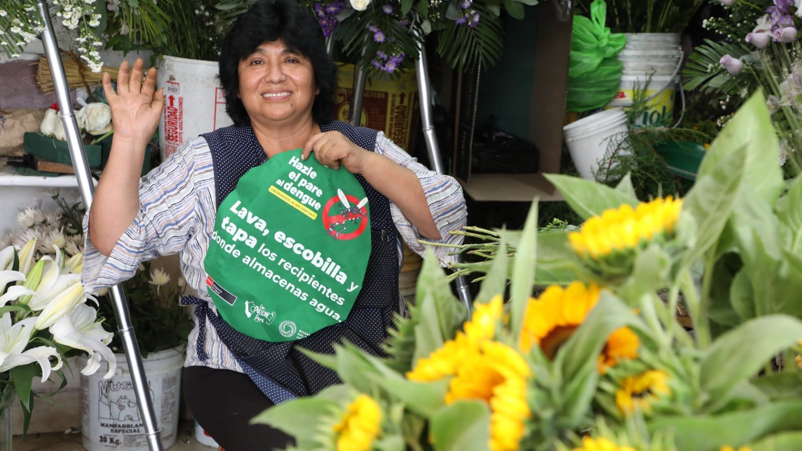 Una correcta conservación de flores amarillas evitará la proliferación del zancudo que transmite el dengue