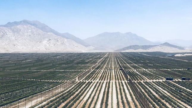 Foto de un campo monitoreado por la tecnología Space AG