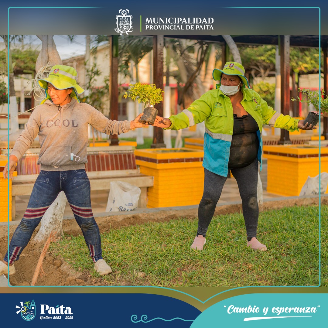Instalación de 600 plantones de duranta limón en plaza de armas de Paita