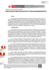 Vista preliminar de documento RDE 275