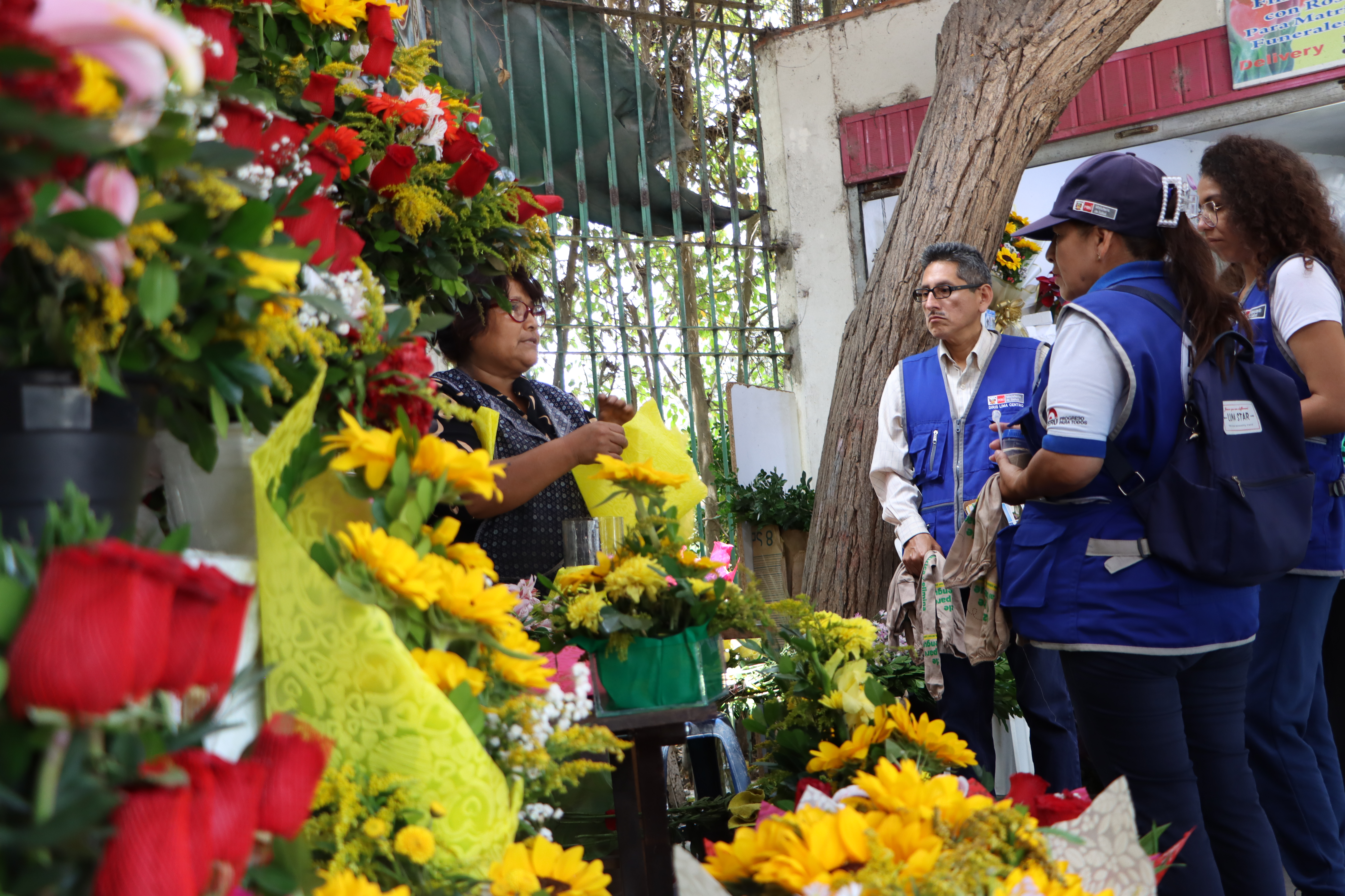 Foto 1 Una correcta conservación de flores amarillas evitará la proliferación del zancudo que transmite el dengue