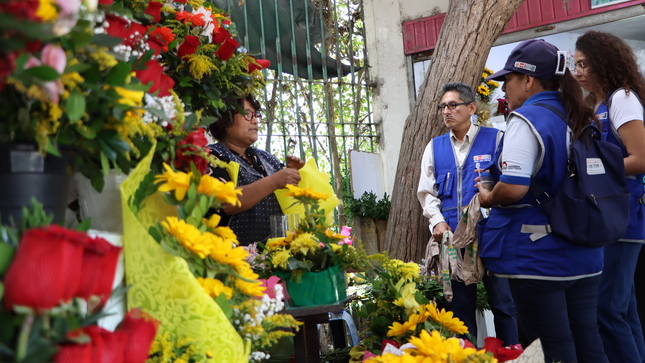 Foto 1 Una correcta conservación de flores amarillas evitará la proliferación del zancudo que transmite el dengue