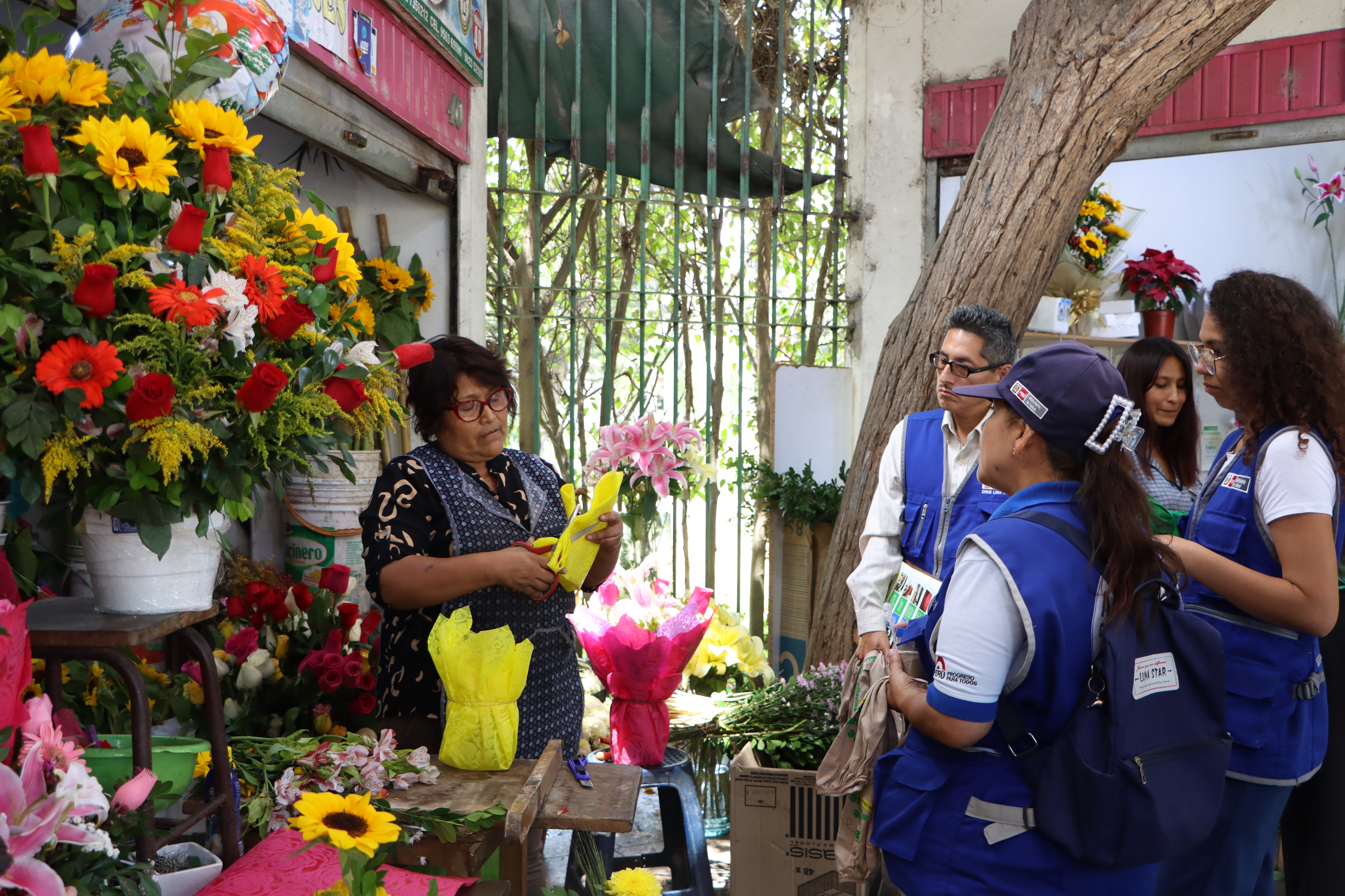 Foto 4 Una correcta conservación de flores amarillas evitará la proliferación del zancudo que transmite el dengue