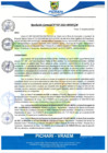 Vista preliminar de documento rgm567